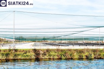 Siatki Olecko - Siatka ochronna na zbiornik z rybami, efektywne zabezpieczenie przed ptakami dla terenów Olecka